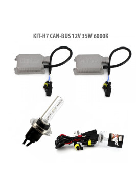 H7 CAN-BUS 12V 55W 6000K
