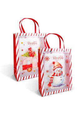 Pungă decorativă pentru cadouri – 32 x 25 x 11 cm – 2 modele – material plastic