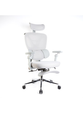 Scaun de birou ergonomic cu brațe reglabile, tetieră și suport pentru picioare, gri